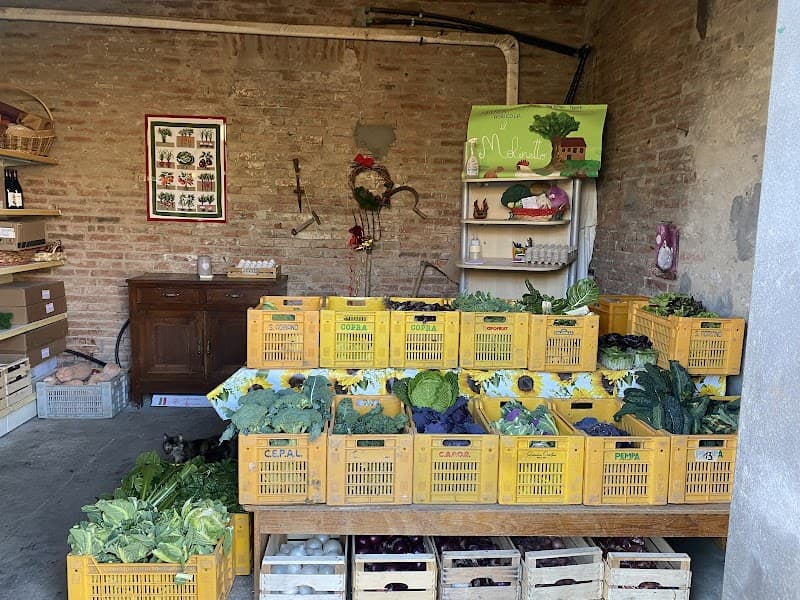 Immagine di Azienda agricola il Molinetto a Castel San Pietro Terme, Emilia-Romagna