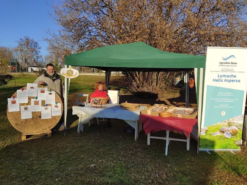 Immagine di Agrobio Dese | Vendita diretta di lumache allevate all’aperto a Preganziol, Veneto