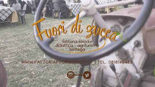 Immagine di Fattoria Sociale Fuori di Zucca a Lusciano, Campania