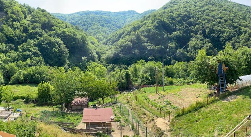 Immagine di Azienda Agricola "Il Pulcino" a Serra Riccò, Liguria