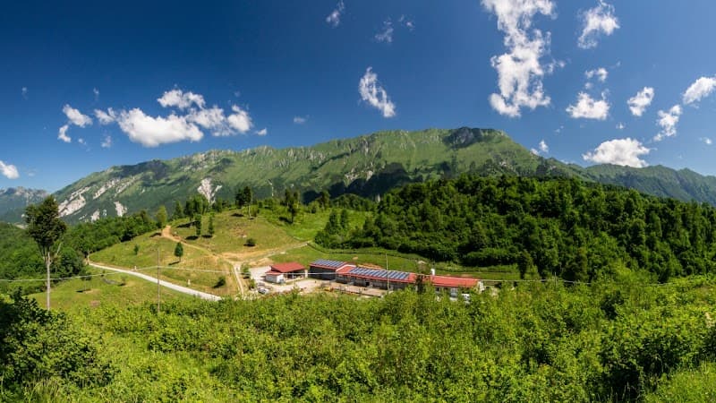 Immagine di Azienda agricola Zore/turistična kmetija Zore 770m a Taipana, Friuli-Venezia Giulia