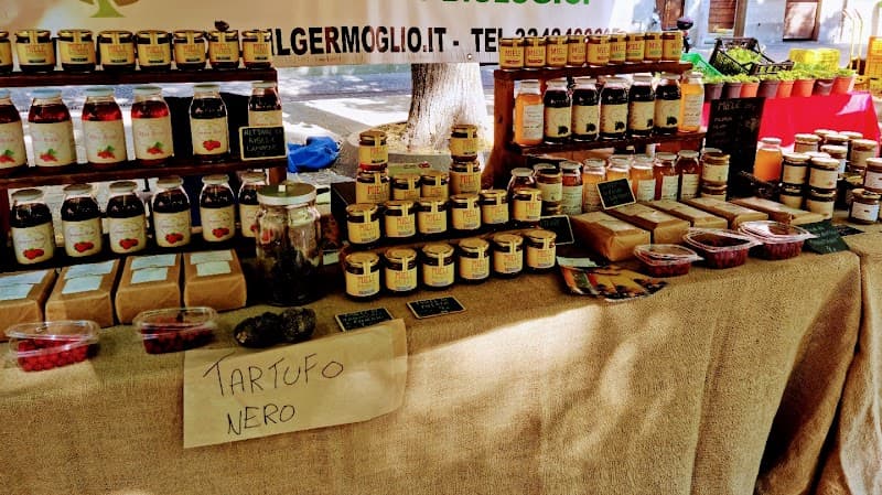Immagine di Azienda agricola biologica il germoglio a Castelnovo ne' Monti, Emilia-Romagna