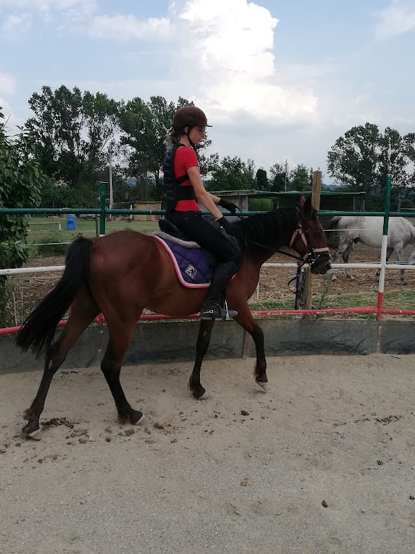 Immagine di Agricola S. Nicolo' a Deruta, Umbria