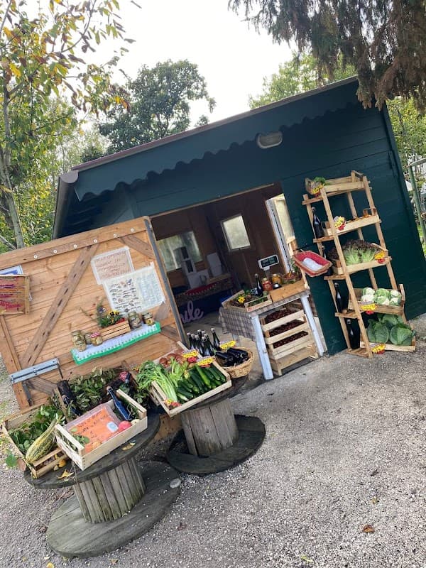 Immagine di AL Bacan - Ortaggi BIO - Vendita diretta a Pianiga, Veneto