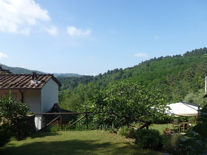 Immagine di Agriturismo Nicobio a Orbicciano, Toscana