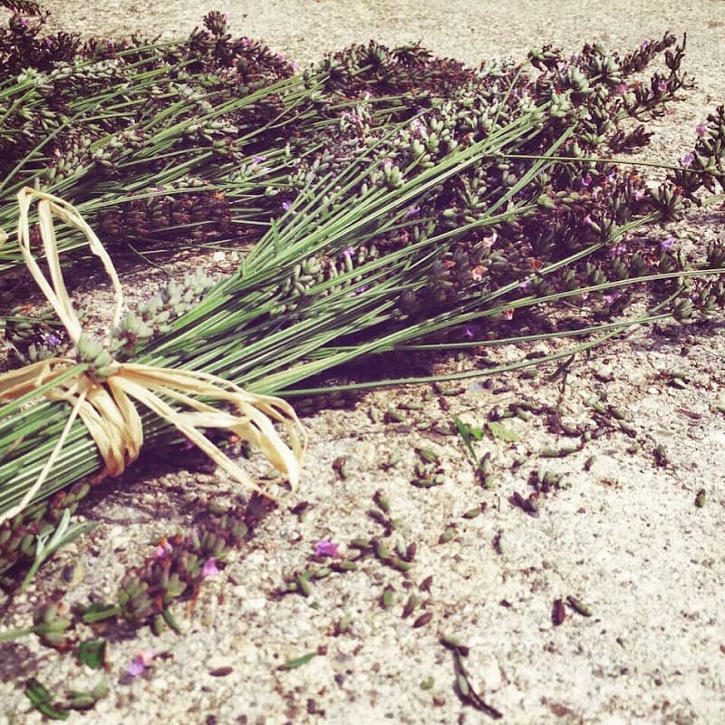 Immagine di Fattoria Giambùc a Feletto Umberto, Friuli-Venezia Giulia