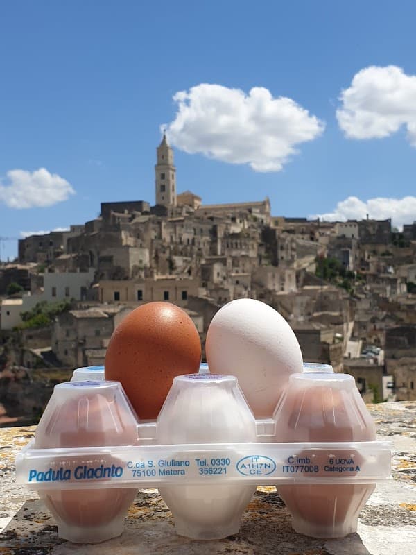 Immagine di Azienda Agricola Padula a Grumento Nova, Basilicata