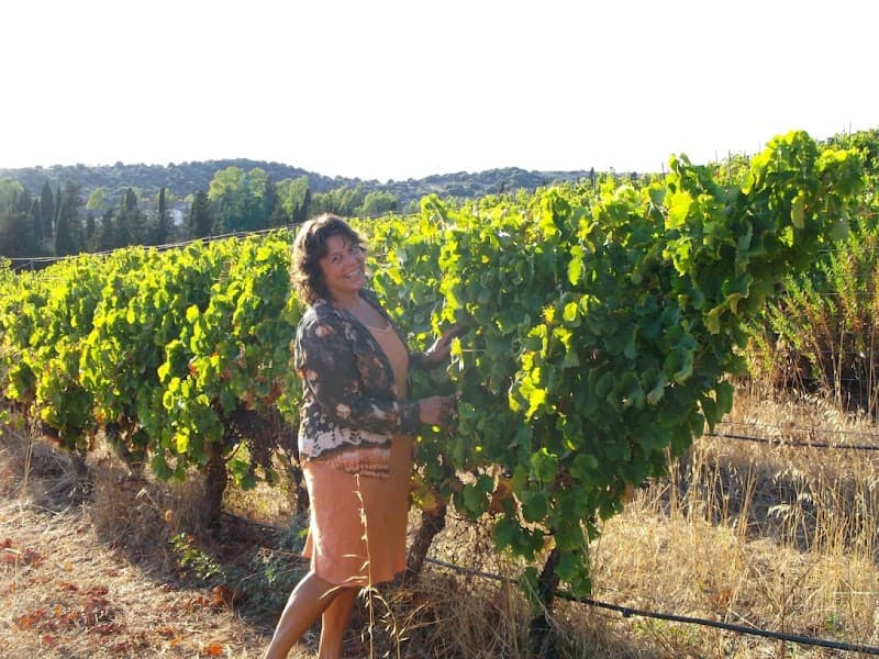 Immagine di [Azienda Agricola Multifunzionale] In Our Garden a Quartu Sant'Elena, Sardegna