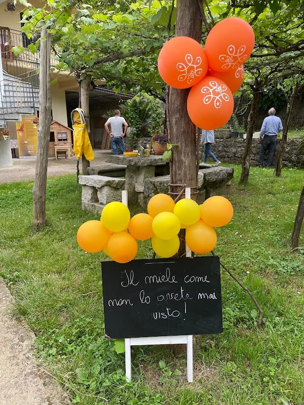 Immagine di FATTORIA DEI SOGNI a Civitella Licinio, Campania