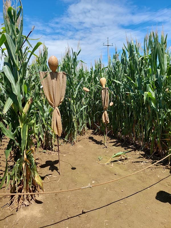 Immagine di Fattoria Didattica La Selce a Codroipo, Friuli-Venezia Giulia
