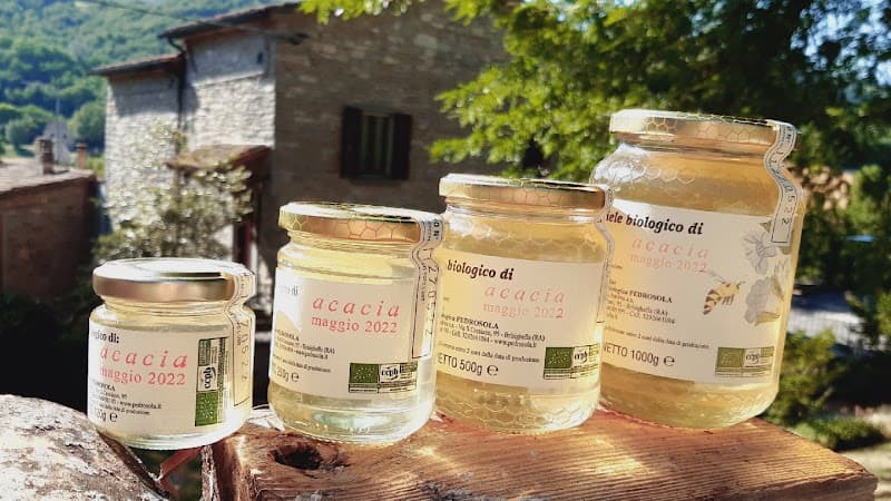 Immagine di Agriturismo Pedrosola - Az. Biol. Pedrosola a Brisighella, Emilia-Romagna