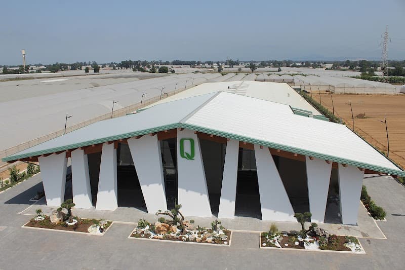 Immagine di Olio Quattrociocchi - Americo Quattrociocchi a Terracina, Lazio