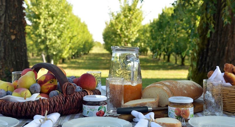 Immagine di Punto Verde BIO - Laboratorio trasformazione Frutta e Verdura a Formica, Emilia-Romagna