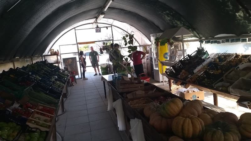 Immagine di Terre Pisane - Frutta e verdura a Cascina, Toscana