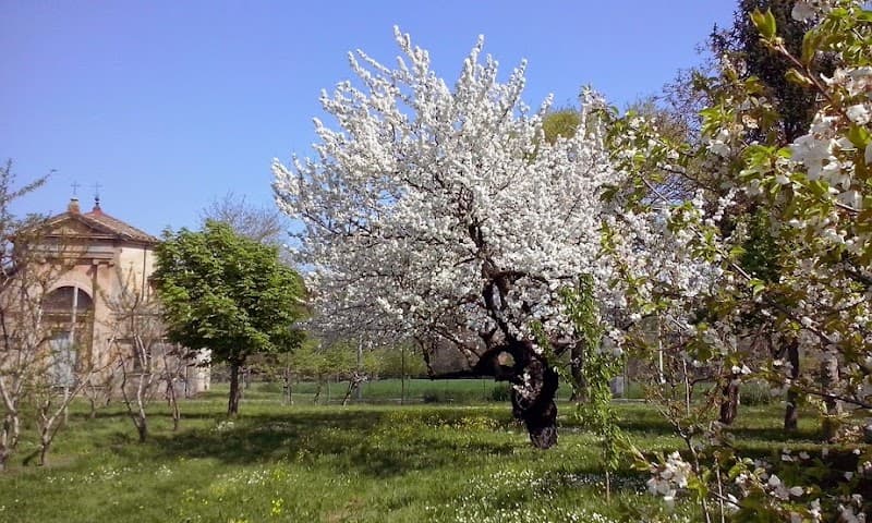 Immagine di Azienda agricola Magli a Bologna, Emilia-Romagna