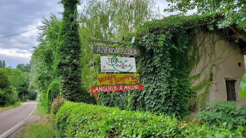 Immagine di Azienda agricola Biologica Terra e Anyma a Campagnola Emilia, Emilia-Romagna