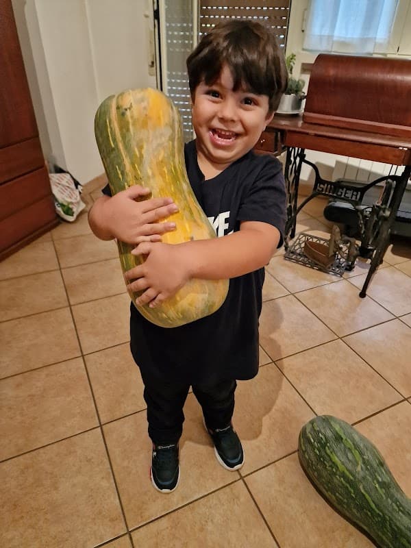 Immagine di Tenuta Agricola BIologica Campo di Merlo a Roma, Lazio