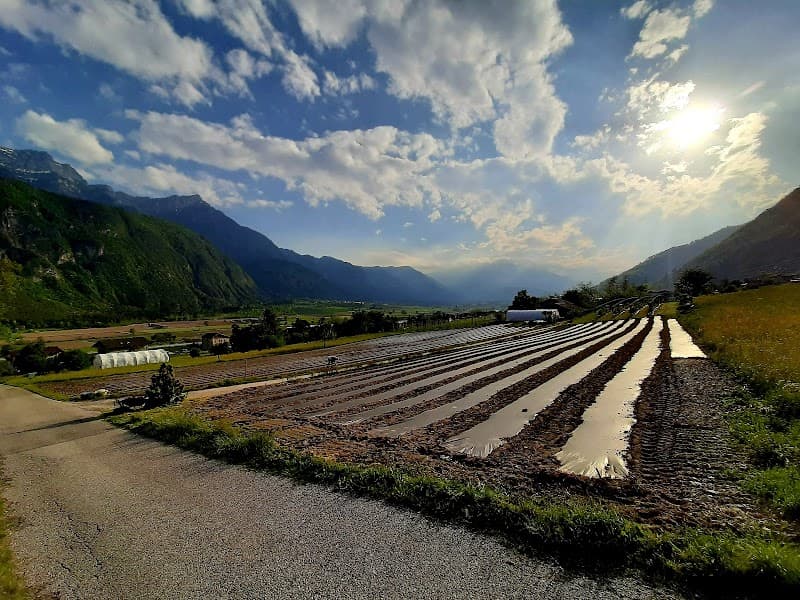 Immagine di Azienda agricola Ai Masi a Novaledo, Trentino-Alto Adige