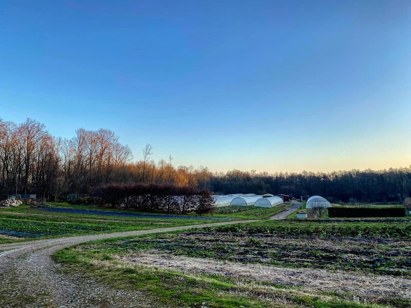 Immagine di Biorama azienda agricola biologica di Andrea Girolimetto a Albiolo, Lombardia