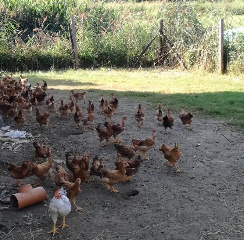 Azienda Agricola Contessi e Riva