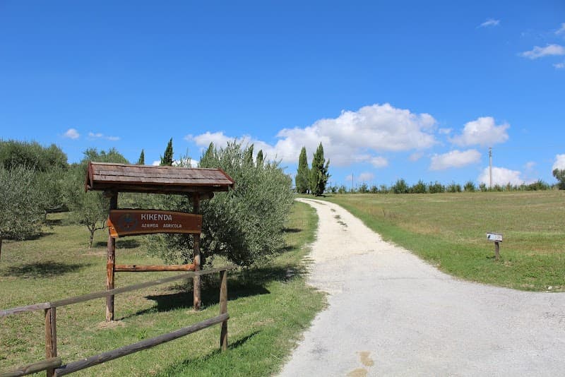 Immagine di Azienda agricola biologica Kikenda a Treia, Marche