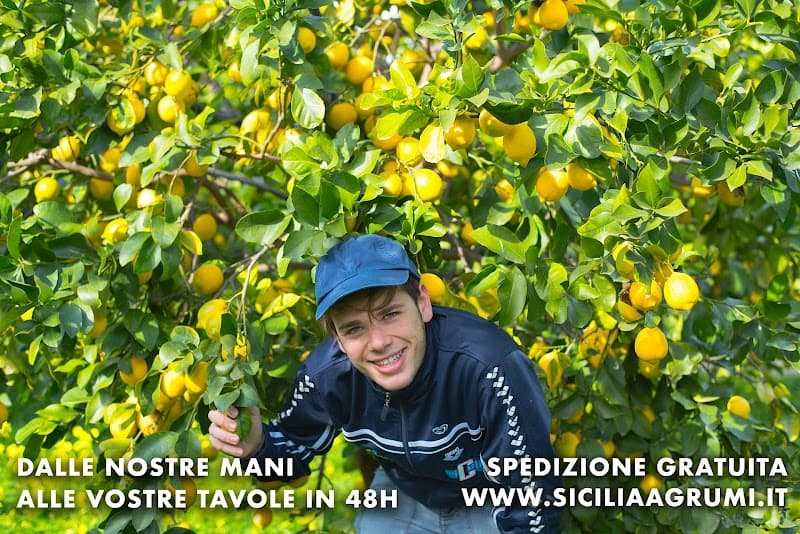 Sicilia Agrumi di Giuseppe Larosa | Arance e Agrumi Shop Online