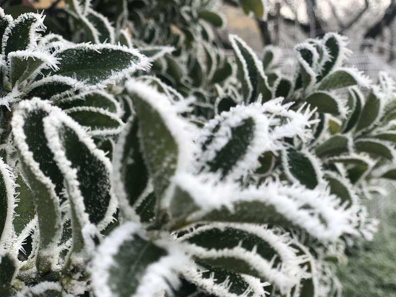 Immagine di Azienda Agricola Orlandini Di Betti Daniele E Alessandro a Sesto Imolese, Emilia-Romagna