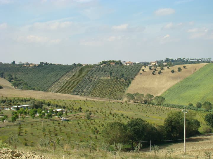 Immagine di Fattoria Didattica l'Arcobaleno a Montefiore, Marche