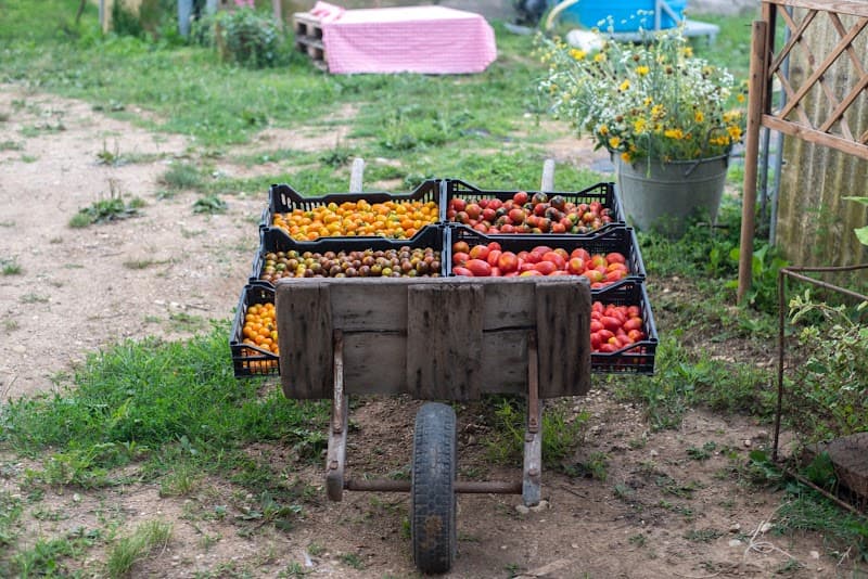 Immagine di L'orto felice a Udine, Friuli-Venezia Giulia