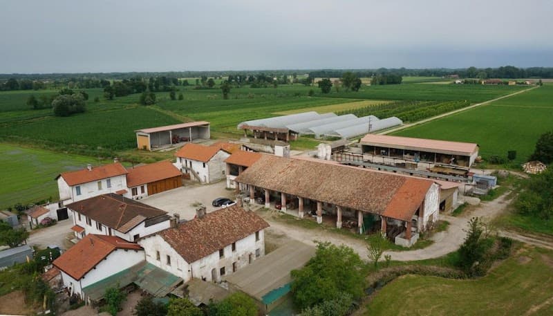 Immagine di Cascina San Donato - Azienda agricola - Vendita diretta frutta e verdura - Fattoria Didattica a Abbiategrasso, Lombardia