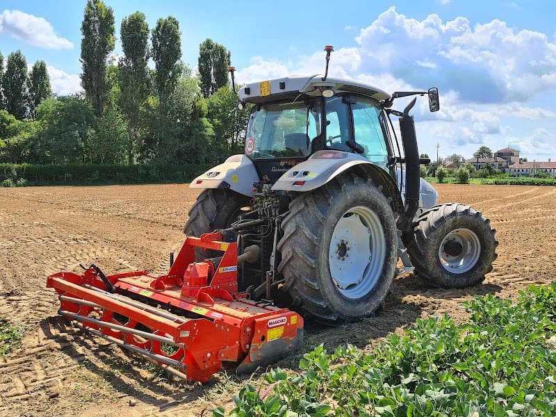 Immagine di Azienda Agricola F.lli Bortoletto a Treviso, Veneto