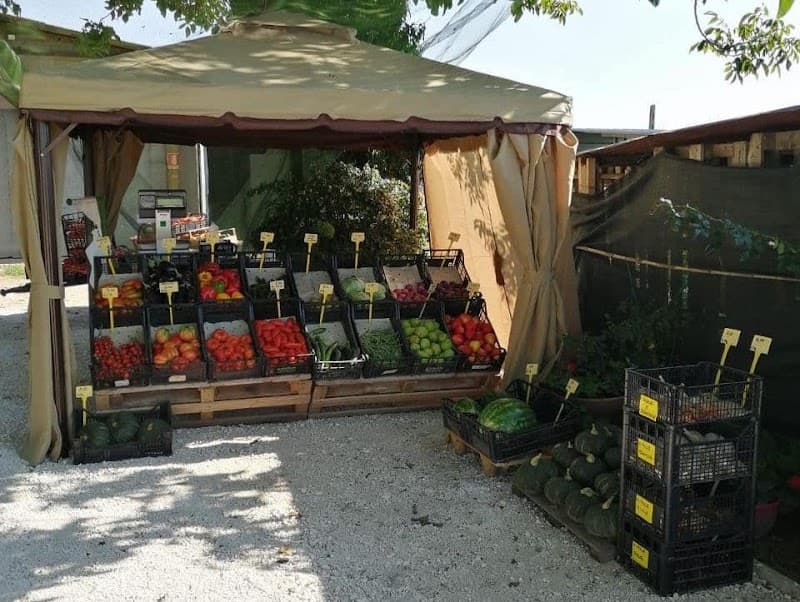 Immagine di Azienda Agricola Targon a Isola della Scala, Veneto