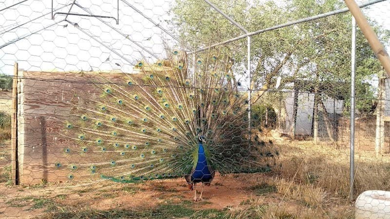Immagine di FaunaFlora azienda agricola biologica a Ragusa, Sicilia