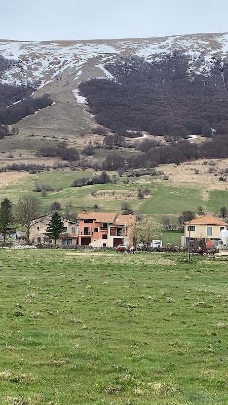 Immagine di Azienda agricola Le Belle BIO a L'Aquila, Abruzzo