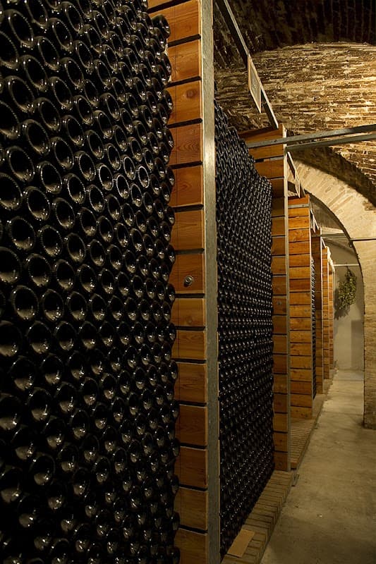 Immagine di Azienda Agricola Valentini a Loreto Aprutino, Abruzzo
