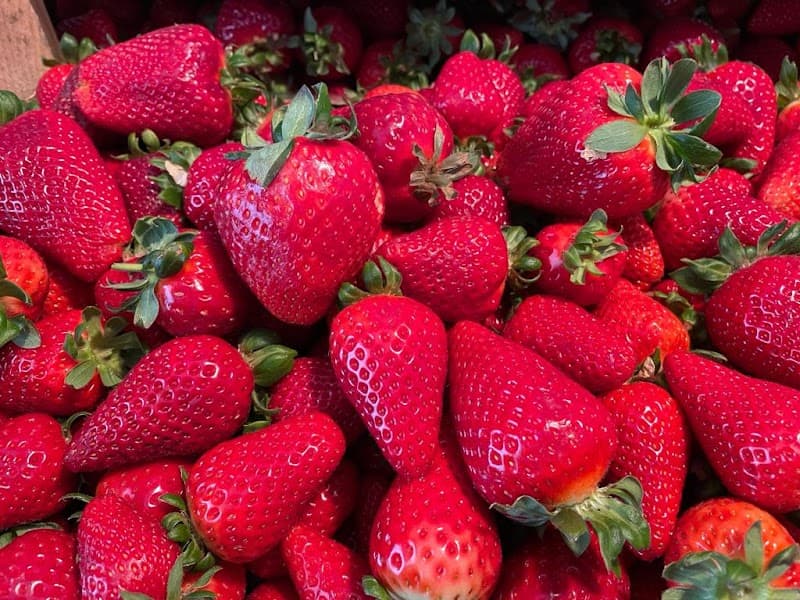 Immagine di L'orto dei re a Ugento, Puglia
