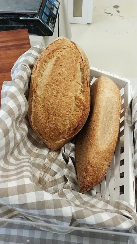 Immagine di Azienda Agricola Roncarati a Ancona, Marche