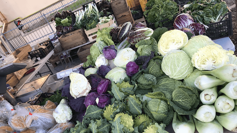 Immagine di Azienda Agricola Mattioli - AMABIO a Modena, Emilia-Romagna