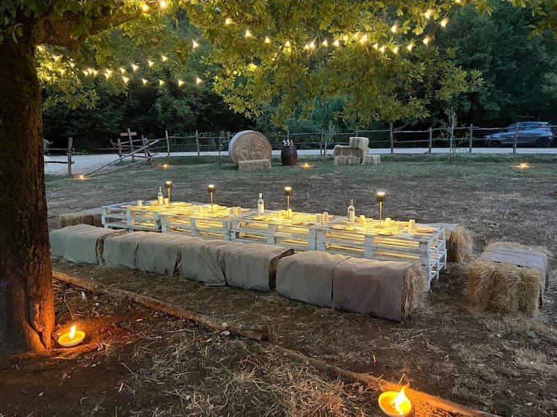 Immagine di Azienda agricola Tenuta Ara del Tufo a Giuliano di Roma, Lazio