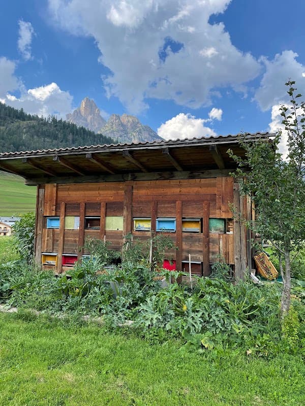 Immagine di Verdura miele e uova BIO a Pozza di Fassa, Trentino-Alto Adige