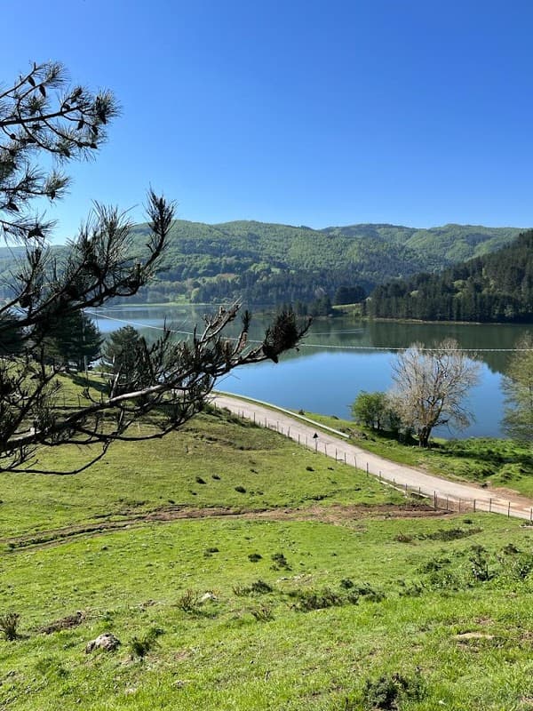 Immagine di Azienda Agricola Guarascio "La Fattoria nel Parco" Caseificio - Agriturismo - Fattoria Didattica a Cosenza, Calabria