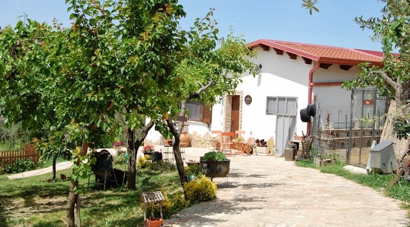 Immagine di Fattoria Rovello - Azienda Agricola a San Paolo di Civitate, Puglia