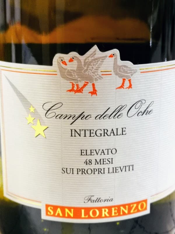 Immagine di Fattoria S. Lorenzo Di Crognaletti Natalino a Montecarotto, Marche