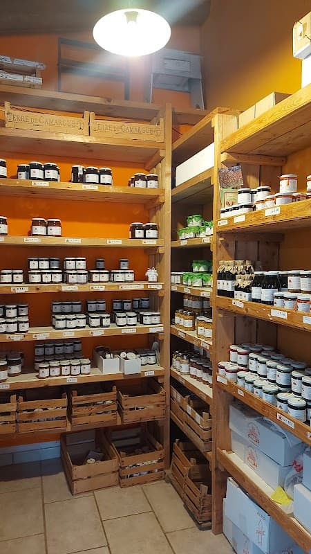 Immagine di La Fattoria del Borgo a Trasanni, Marche