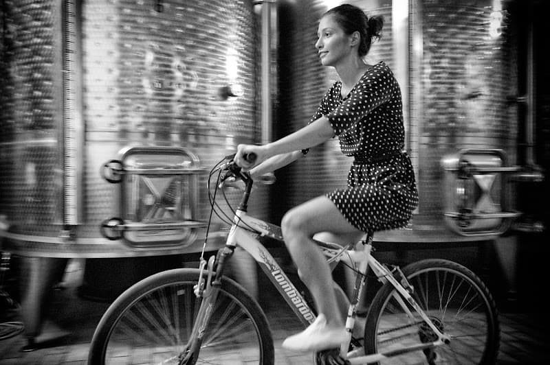 Immagine di Azienda Agricola Michele Laluce a Venosa, Basilicata