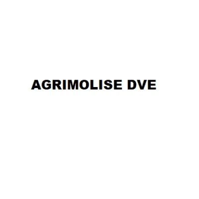 Anteprima immagine