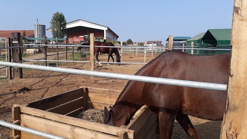 Immagine di Azienda agricola Valandro a Tregasio, Lombardia