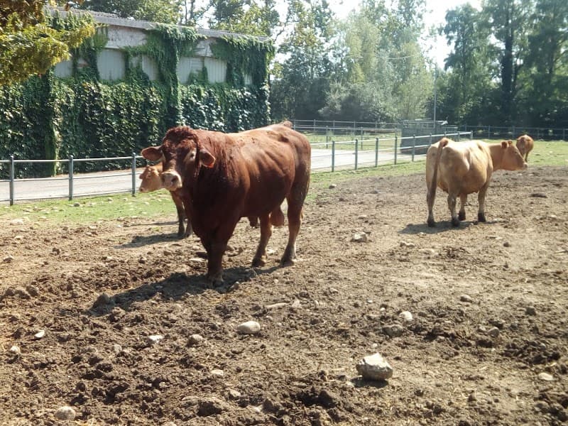 Immagine di Azienda Agricola Boschi Srl a Dorio, Lombardia