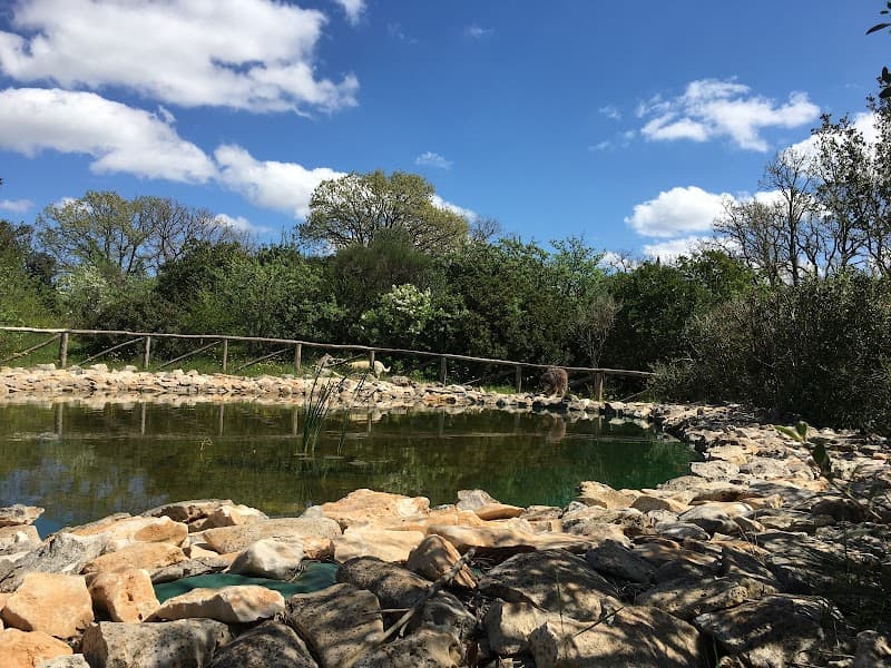 Immagine di Azienda Agricola Columella a Ostuni, Puglia