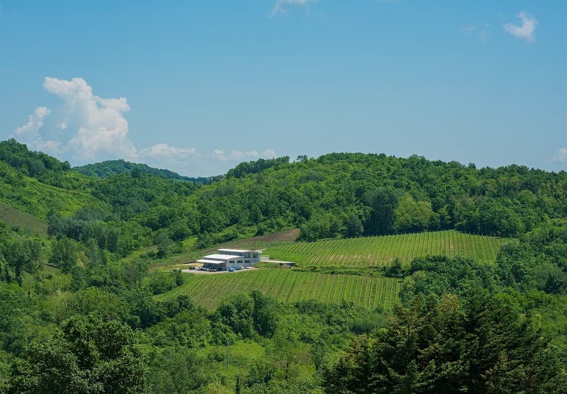 Immagine di Agricola Bellaria a Roccabascerana, Campania